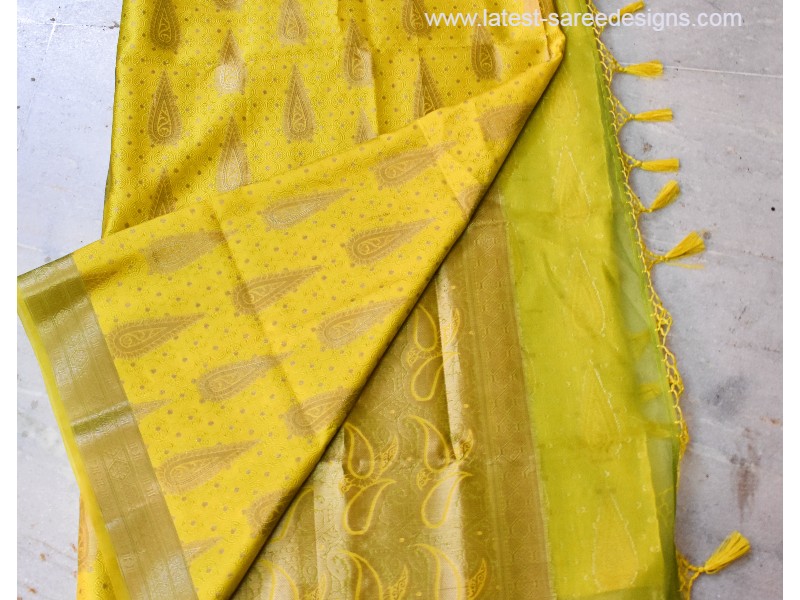 Organdy tissue saree with Banaras weave