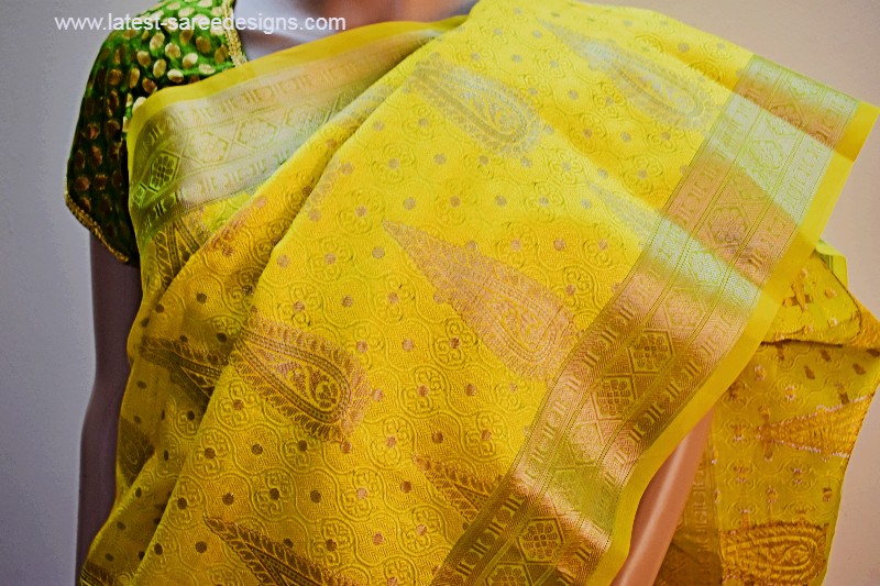 Organdy saree