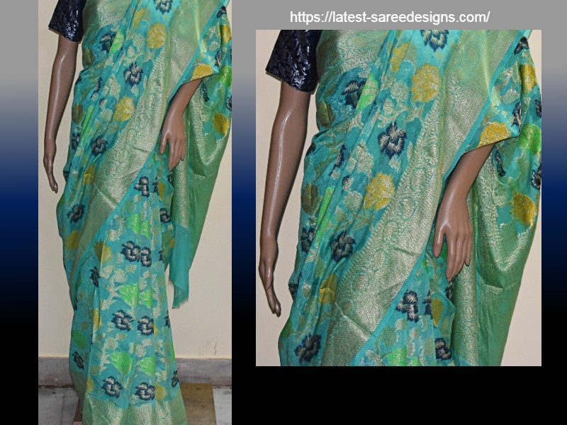 Banarasi saree with jaal design